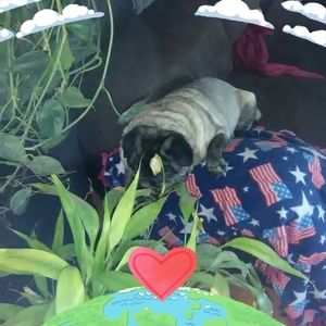 Meet your Posher, Terry